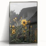 Rustic Wall Art - Sunflower Bloom Farmhouse Decor for Rustic Homes