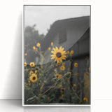 Rustic Wall Art - Sunflower Bloom Farmhouse Decor for Rustic Homes