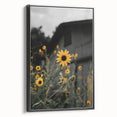Rustic Wall Art - Sunflower Bloom Farmhouse Decor for Rustic Homes