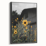 Rustic Wall Art - Sunflower Bloom Farmhouse Decor for Rustic Homes