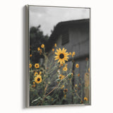 Rustic Wall Art - Sunflower Bloom Farmhouse Decor for Rustic Homes