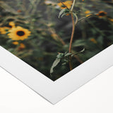 Rustic Wall Art - Sunflower Bloom Farmhouse Decor for Rustic Homes