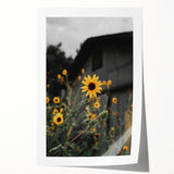 Rustic Wall Art - Sunflower Bloom Farmhouse Decor for Rustic Homes