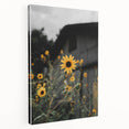 Rustic Wall Art - Sunflower Bloom Farmhouse Decor for Rustic Homes