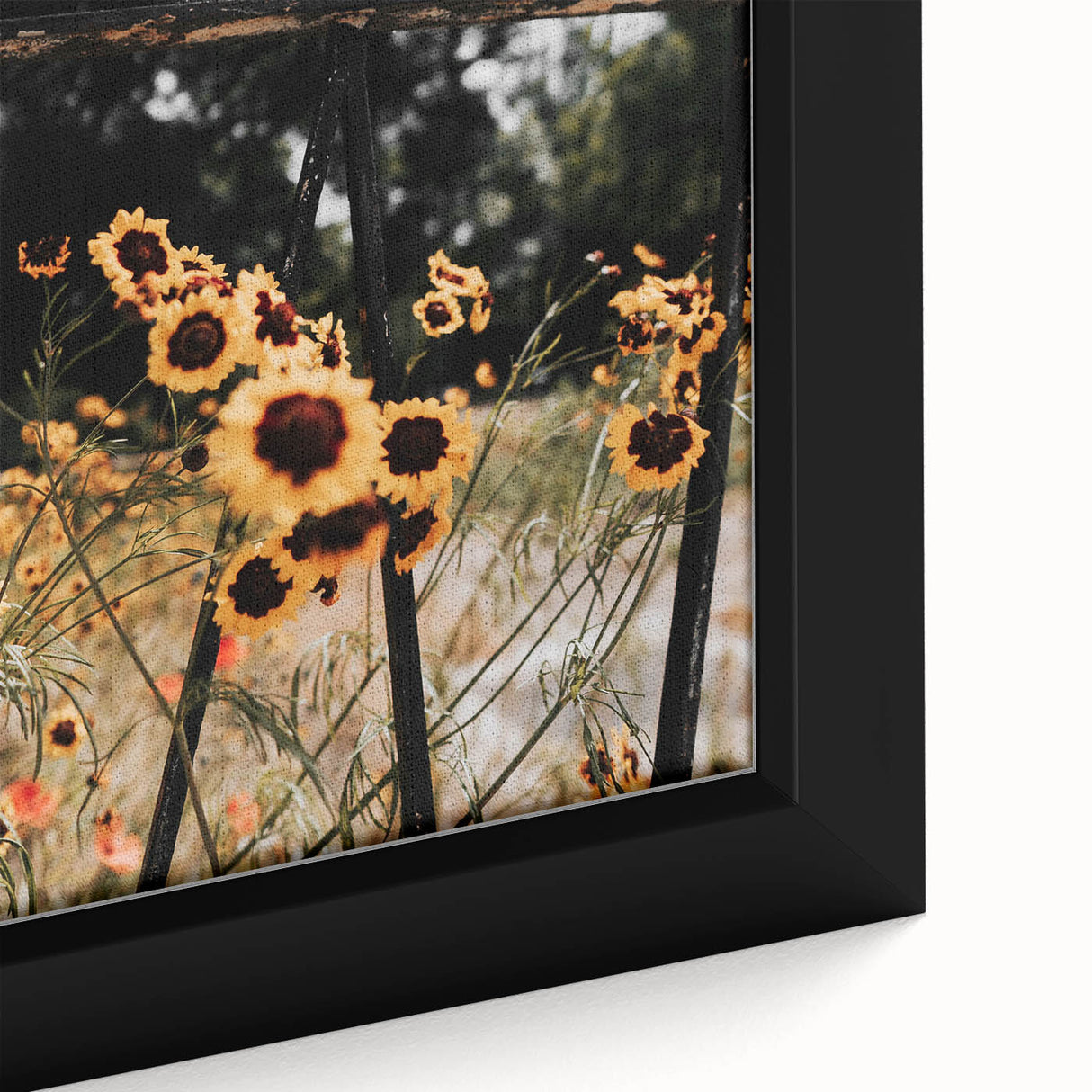 Rustic Wall Art - Wildflowers and Fence Farmhouse Decor for Rustic Homes