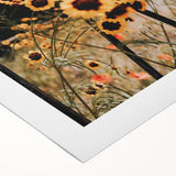 Rustic Wall Art - Wildflowers and Fence Farmhouse Decor for Rustic Homes