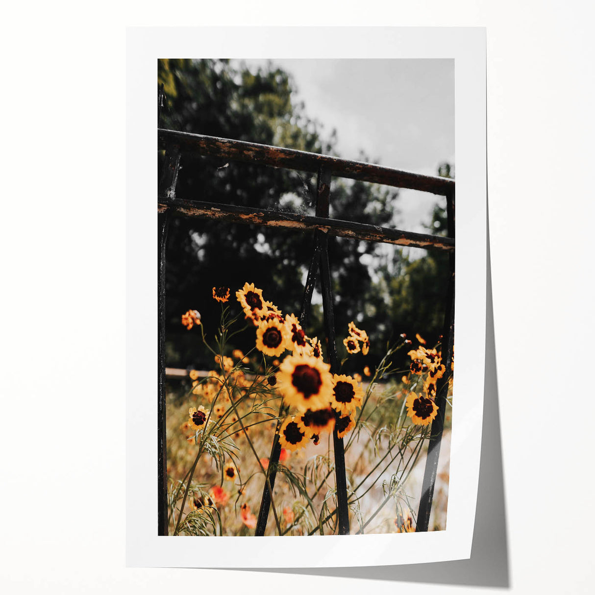 Rustic Wall Art - Wildflowers and Fence Farmhouse Decor for Rustic Homes