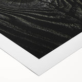 Rustic Wall Art - Tree Wood Grain Farmhouse Decor for Rustic Homes