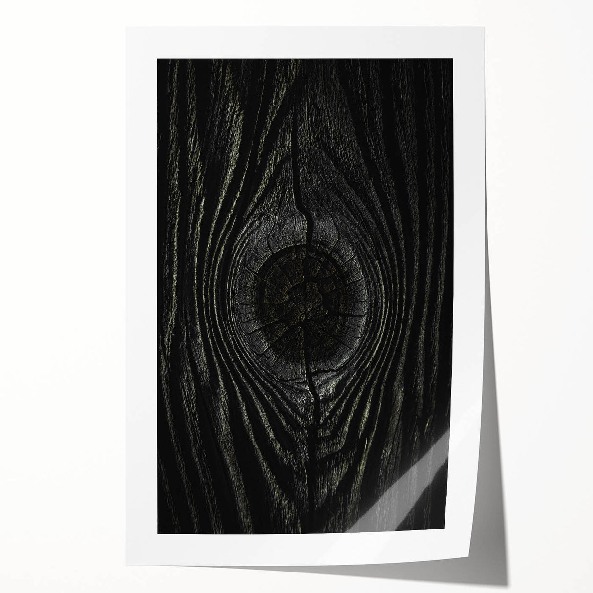 Rustic Wall Art - Tree Wood Grain Farmhouse Decor for Rustic Homes
