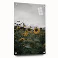 Rustic Wall Art - Sunflower Field Farmhouse Decor for Cozy Homes