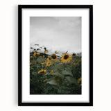 Rustic Wall Art - Sunflower Field Farmhouse Decor for Cozy Homes