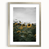 Rustic Wall Art - Sunflower Field Farmhouse Decor for Cozy Homes