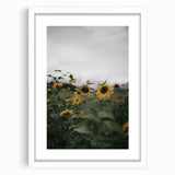 Rustic Wall Art - Sunflower Field Farmhouse Decor for Cozy Homes