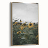 Rustic Wall Art - Sunflower Field Farmhouse Decor for Cozy Homes