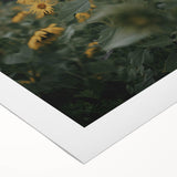 Rustic Wall Art - Sunflower Field Farmhouse Decor for Cozy Homes