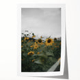 Rustic Wall Art - Sunflower Field Farmhouse Decor for Cozy Homes