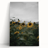 Rustic Wall Art - Sunflower Field Farmhouse Decor for Cozy Homes