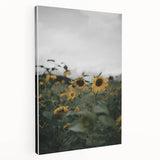 Rustic Wall Art - Sunflower Field Farmhouse Decor for Cozy Homes