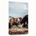 Grazing Symphony - Rustic Cattle Art
