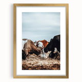 Grazing Symphony - Rustic Cattle Art