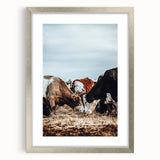 Grazing Symphony - Rustic Cattle Art