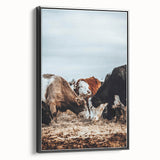 Grazing Symphony - Rustic Cattle Art