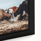 Grazing Symphony - Rustic Cattle Art