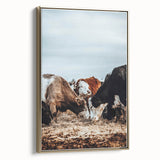 Grazing Symphony - Rustic Cattle Art