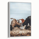 Grazing Symphony - Rustic Cattle Art