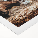 Grazing Symphony - Rustic Cattle Art