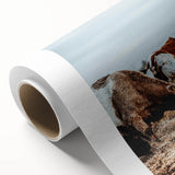 Grazing Symphony - Rustic Cattle Art