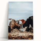 Grazing Symphony - Rustic Cattle Art