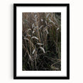 Rustic Wall Art - Wheat Field Farmhouse Decor for Cozy Rustic Homes