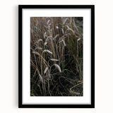 Rustic Wall Art - Wheat Field Farmhouse Decor for Cozy Rustic Homes