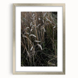 Rustic Wall Art - Wheat Field Farmhouse Decor for Cozy Rustic Homes