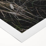 Rustic Wall Art - Wheat Field Farmhouse Decor for Cozy Rustic Homes