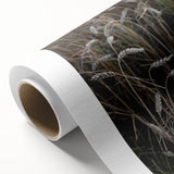 Rustic Wall Art - Wheat Field Farmhouse Decor for Cozy Rustic Homes