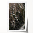 Rustic Wall Art - Wheat Field Farmhouse Decor for Cozy Rustic Homes