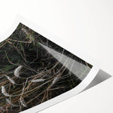 Rustic Wall Art - Wheat Field Farmhouse Decor for Cozy Rustic Homes