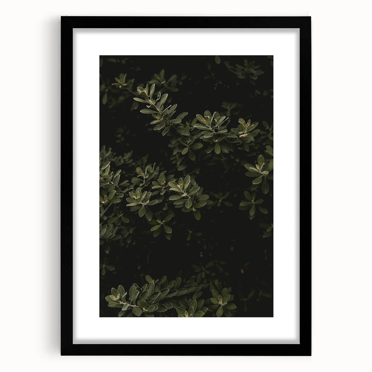 Whispering Greens - Rustic Nature Inspired Art Print