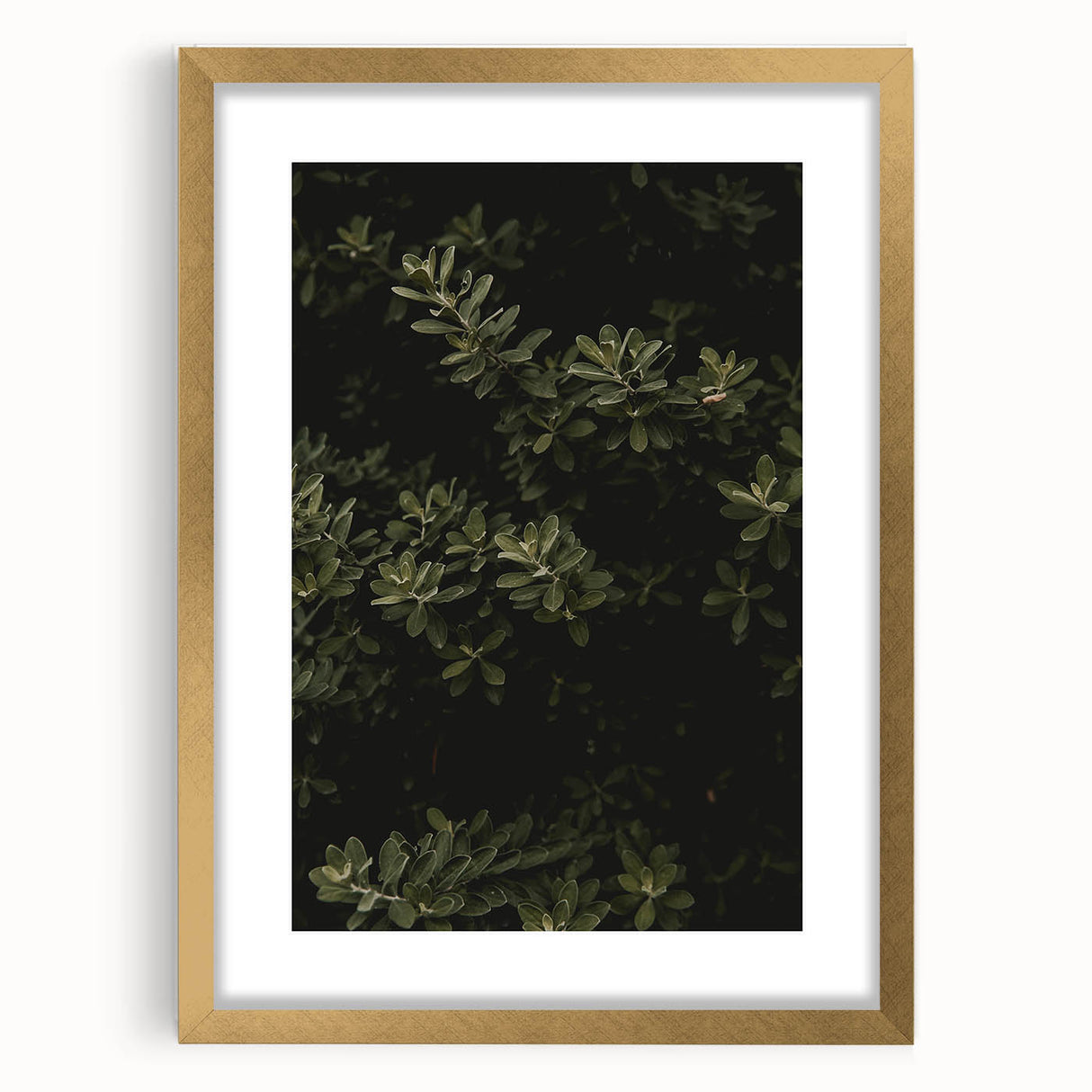 Whispering Greens - Rustic Nature Inspired Art Print