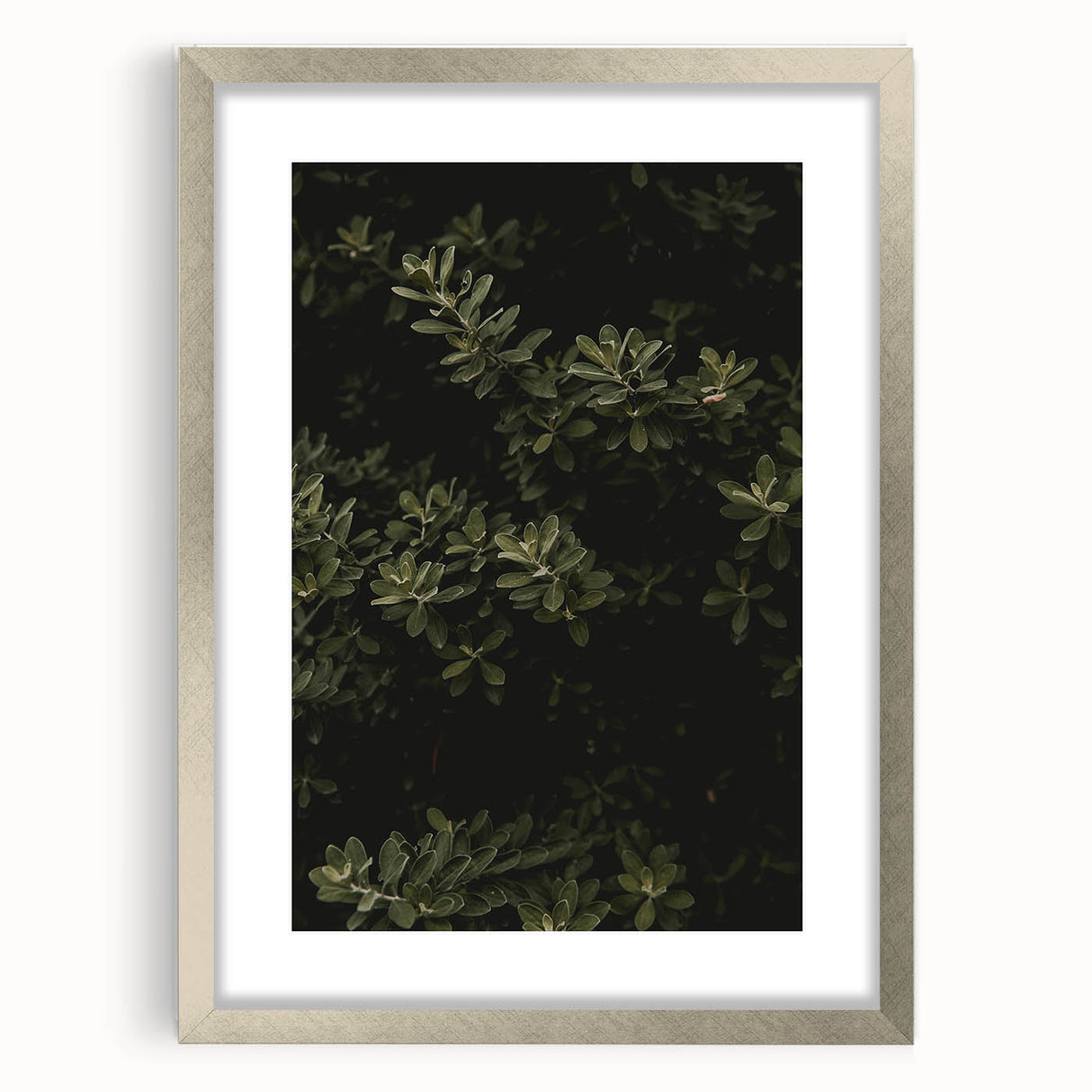 Whispering Greens - Rustic Nature Inspired Art Print