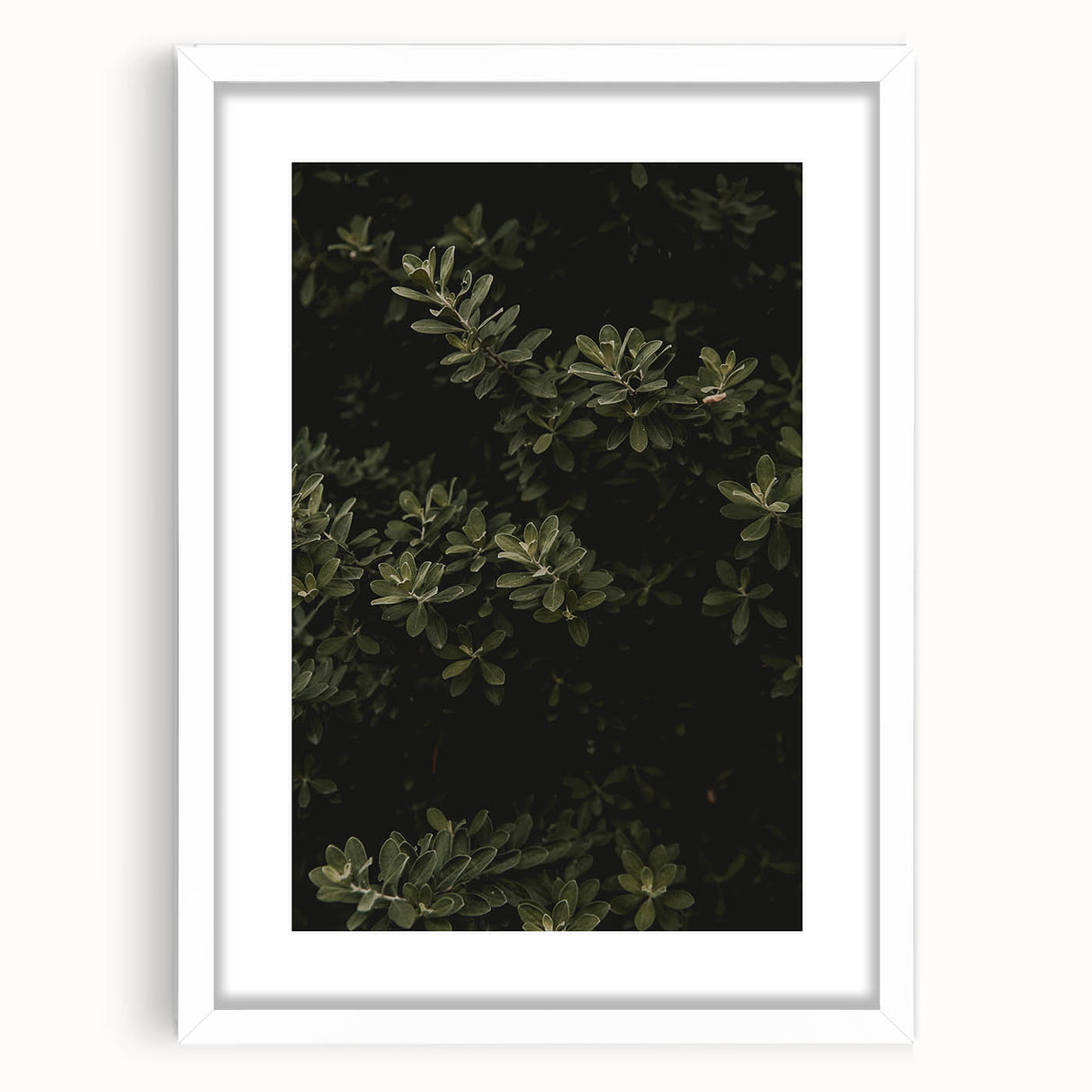 Whispering Greens - Rustic Nature Inspired Art Print
