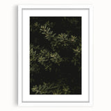 Whispering Greens - Rustic Nature Inspired Art Print