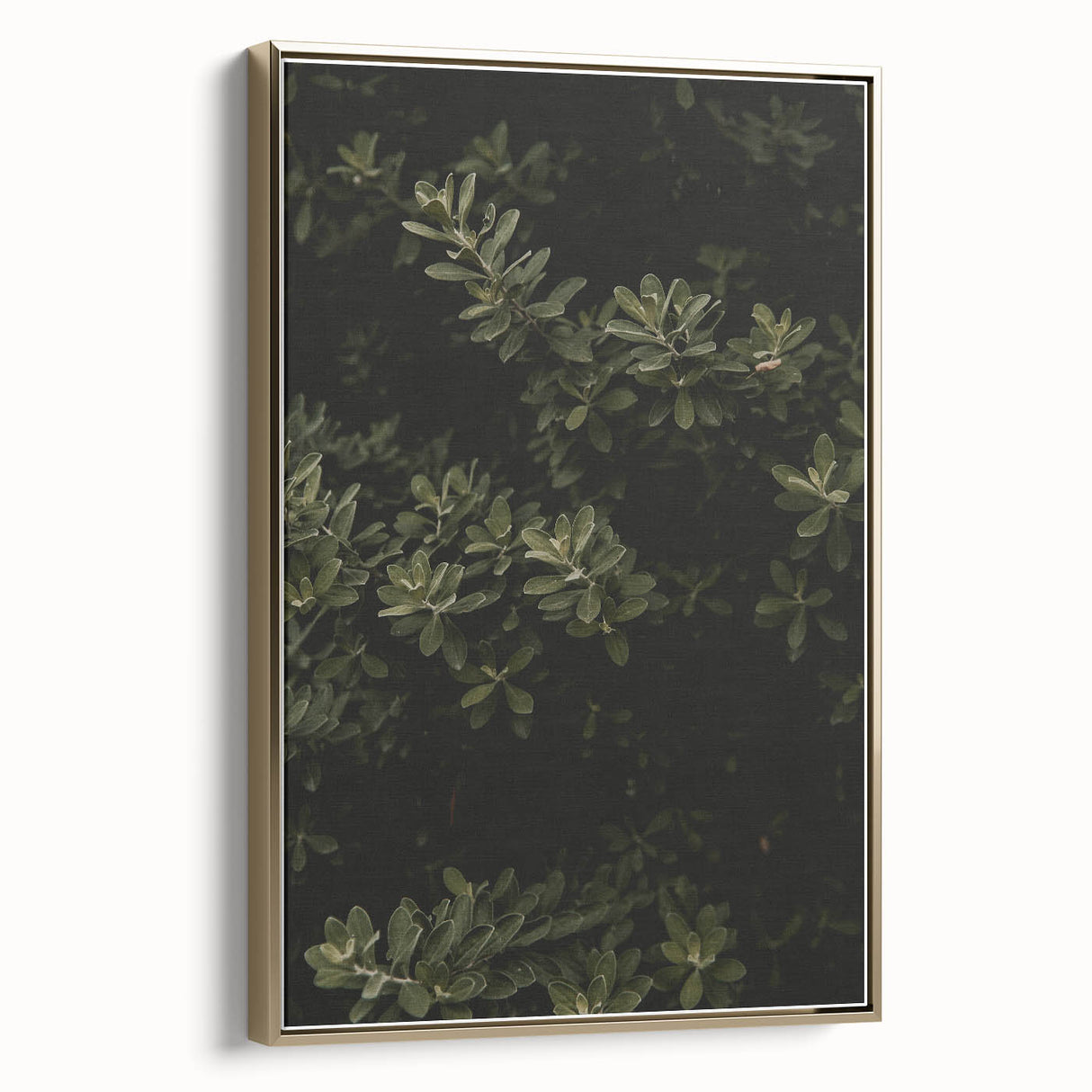 Whispering Greens - Rustic Nature Inspired Art Print