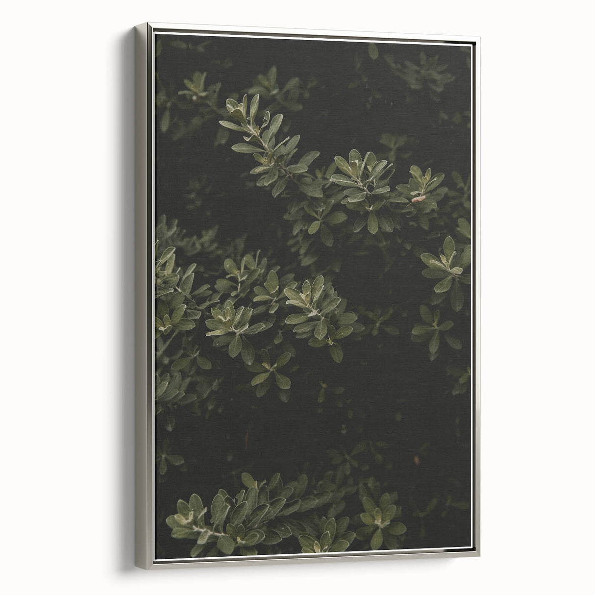 Whispering Greens - Rustic Nature Inspired Art Print