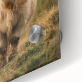 Highland Cow Portrait - Rustic Farmhouse Art Print