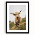 Highland Cow Portrait - Rustic Farmhouse Art Print