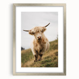 Highland Cow Portrait - Rustic Farmhouse Art Print