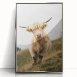 Highland Cow Portrait - Rustic Farmhouse Art Print